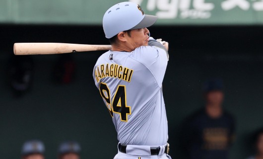 haraguchihumihito