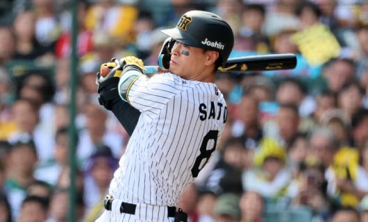 阪神タイガース・佐藤輝明