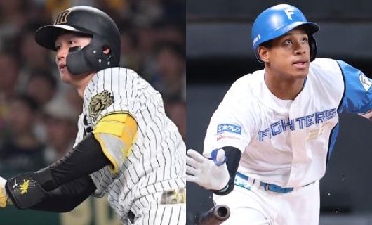 (左から)森下翔太、万波中正